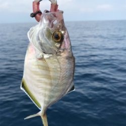 真夏のマイボート 釣行