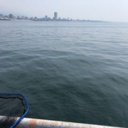 懲りずにショアジギング