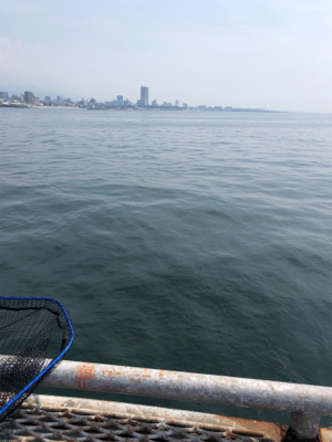 懲りずにショアジギング