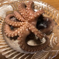 タコ タコ タコ