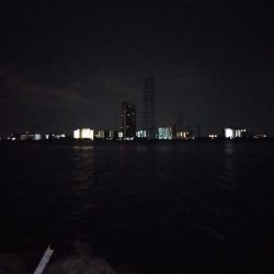 チニング遂にキター