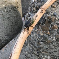 キター！って思ったけど