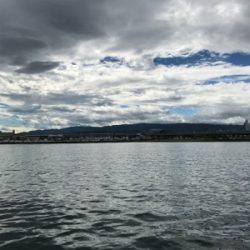 台風後入れ食いだ！