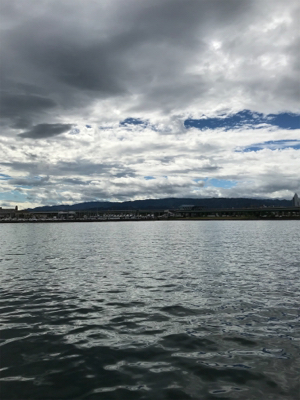 台風後入れ食いだ！