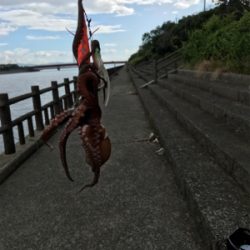 台風後期待して