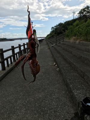 台風後期待して