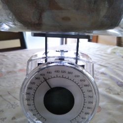 台風一過でオクトパッシング