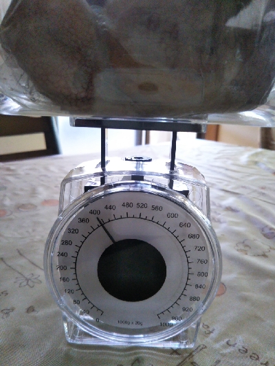 台風一過でオクトパッシング