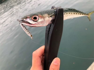 ネコリグとライトゲーム