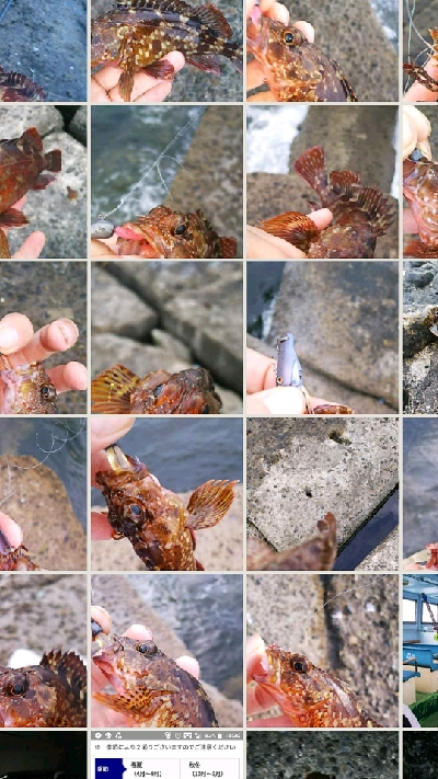 ストレス発散野島沖堤防！