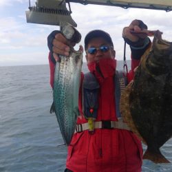 泉州丸さんで鬼アジ調査