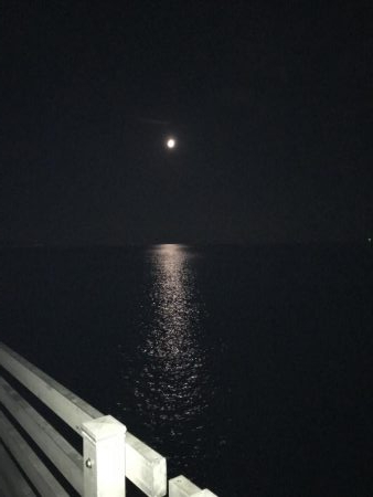 ヤオッチごめんね!