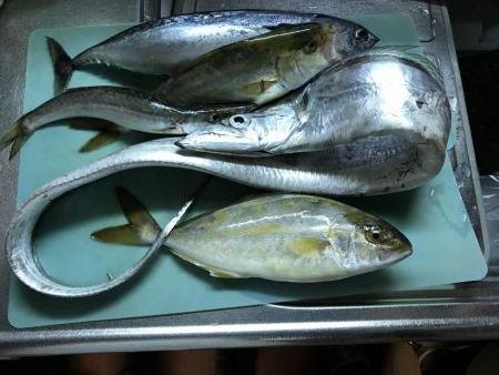 ショアジギング