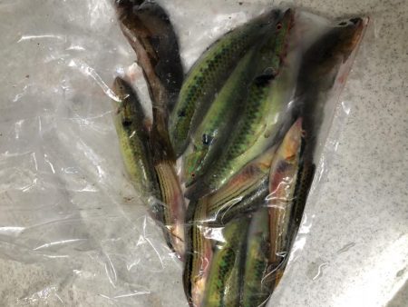 暇つぶしちょい投げ