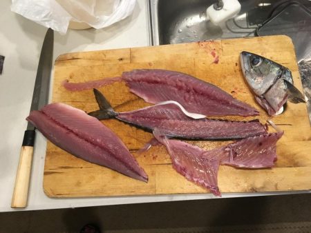 イカは難しいなぁ