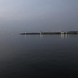 エイの大群！part2