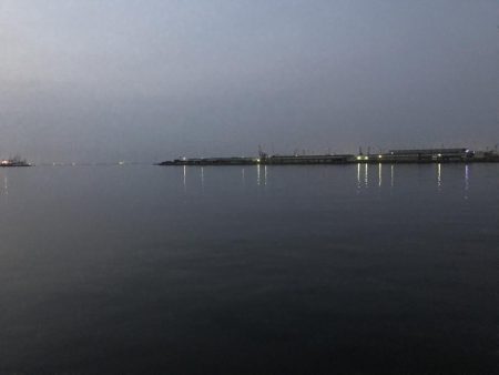 エイの大群！part2