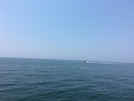 キスが食べたくて