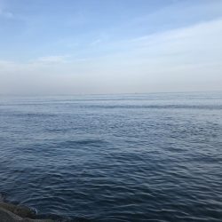 青物不発からの根魚三目達成