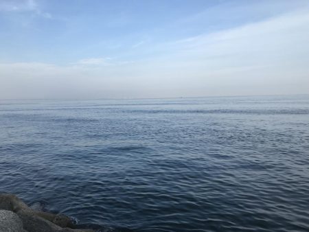 青物不発からの根魚三目達成