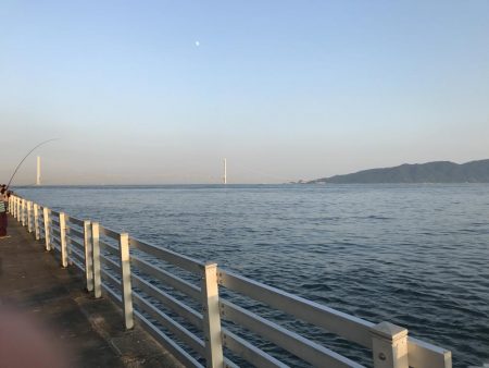 タシッペおすすめの。