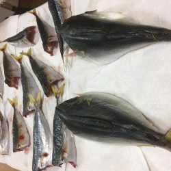 猛暑の中(^^;;  飲ませ釣り‼️