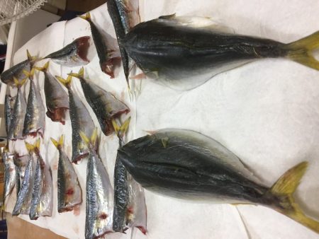 猛暑の中(^^;;  飲ませ釣り‼️