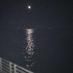 今夜はどうした？