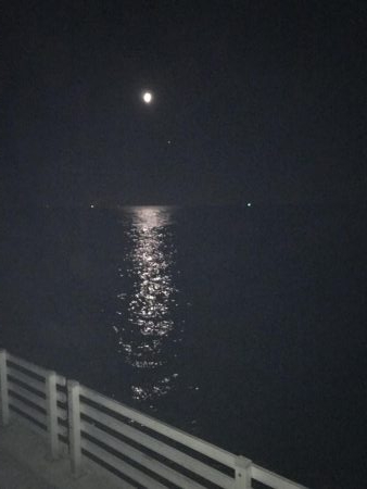 今夜はどうした？