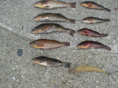 台風前チョイ投げ