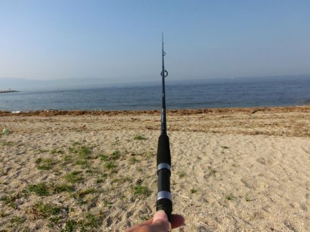 海水浴ついでにちょい投げ