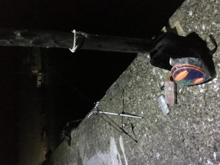 メバリングとガシリング