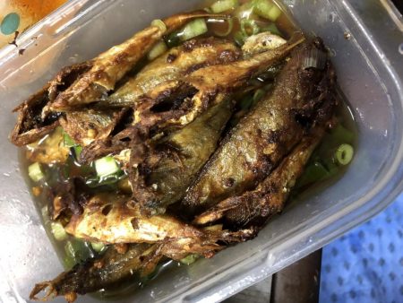 今夜もアジング!