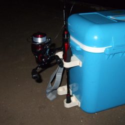 今年初アジング