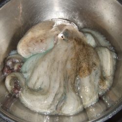 遅くて少ない、外れ年じゃなければいいけど