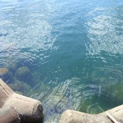 さすがに暑すぎる