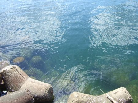 さすがに暑すぎる