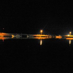 アジング、メバリング