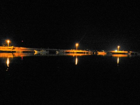 アジング、メバリング