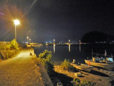 本日も暑くて渋い