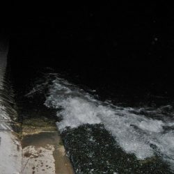 5度目のリベンジで