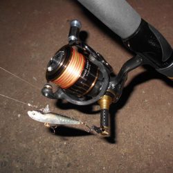 バチパターン？。