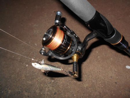 バチパターン？。