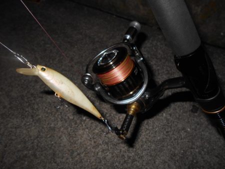 スーパーボイル&ライズ!!。