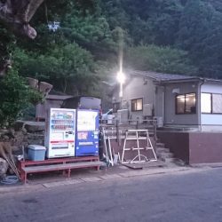 ウミックさんの筏。泳がせでハマチとアコウなど