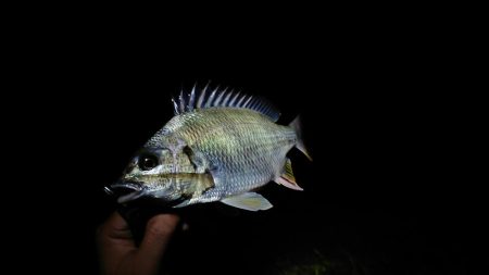 へち釣り講座を受けながら