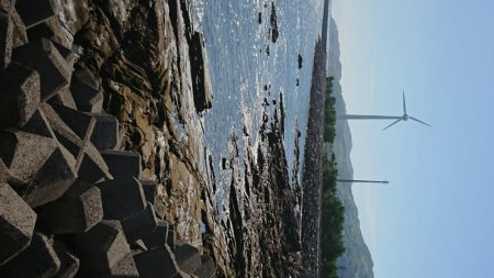 エギング&キス釣り