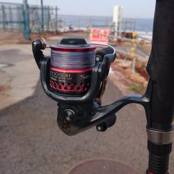 アジとサバのみ