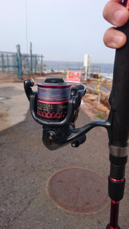 アジとサバのみ