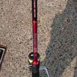 アジング&タコ情報